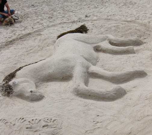 ephemeral art sand sculpture horse